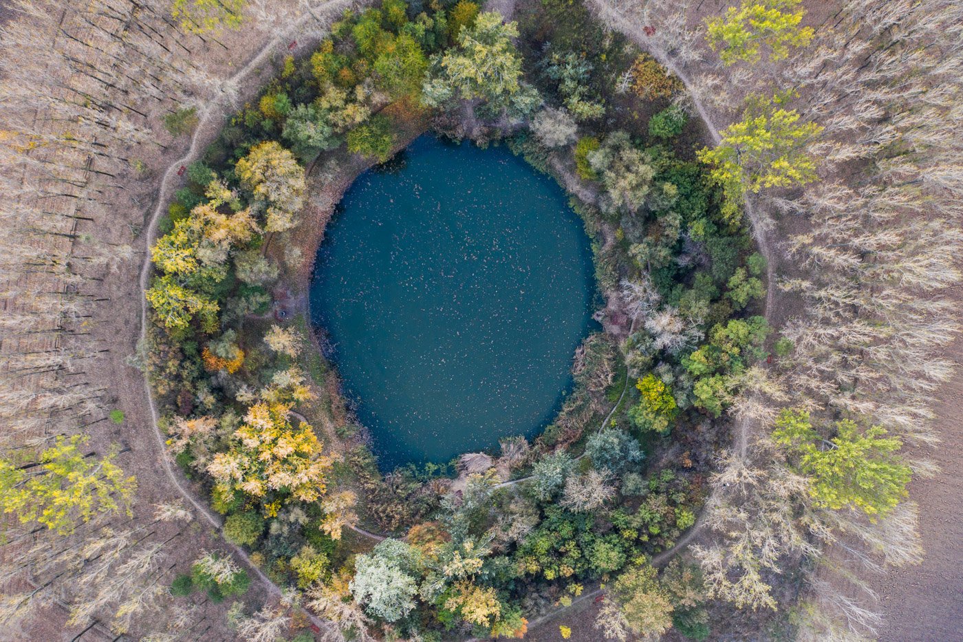 Drónfotó egy erdővel körülvett tóról – Légifelvétel természetvédelmi területről